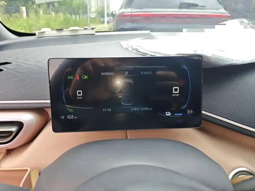 Seagull 2024 Glory Edition 305km/h Vitality Edition — миниатюра 4