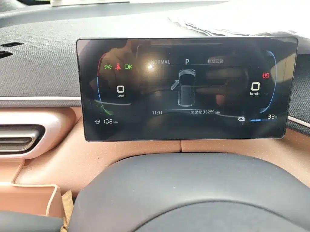 Seagull 2024 Glory Edition 305km/h Vitality Edition — миниатюра 5