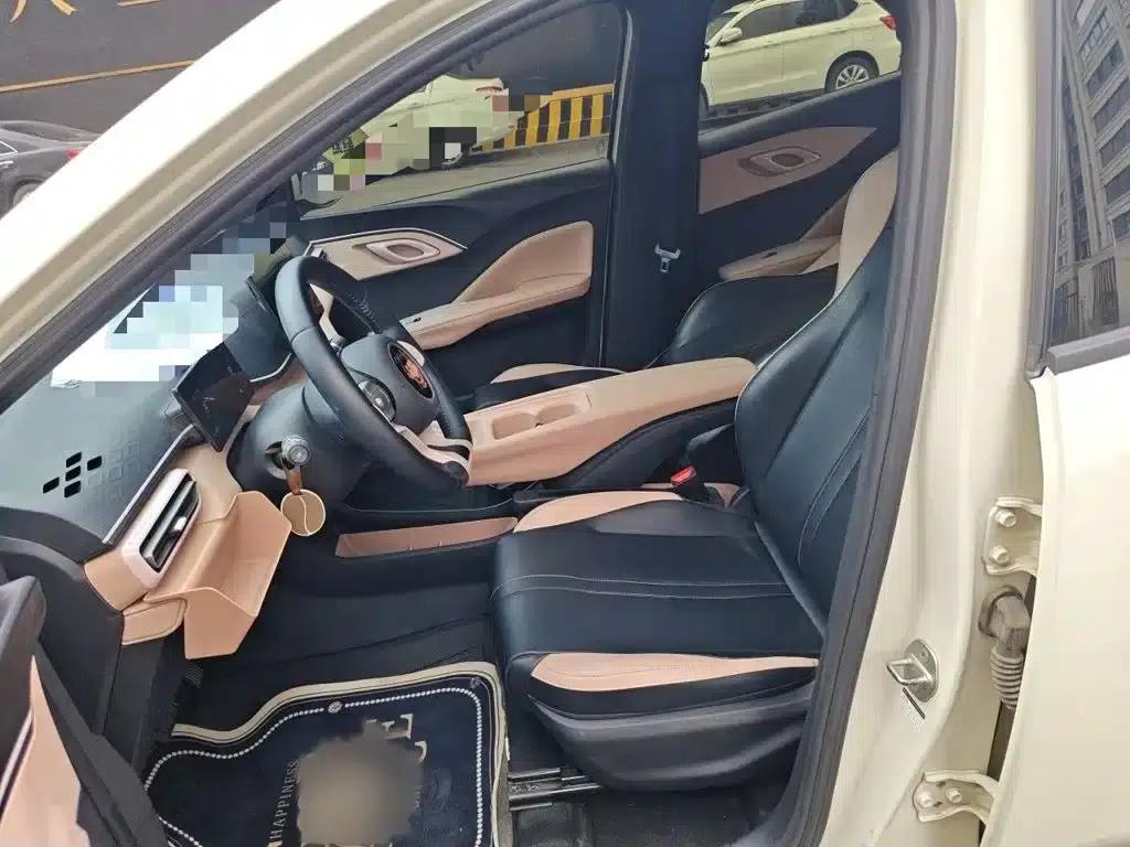 Seagull 2024 Glory Edition 305km/h Vitality Edition — миниатюра 8