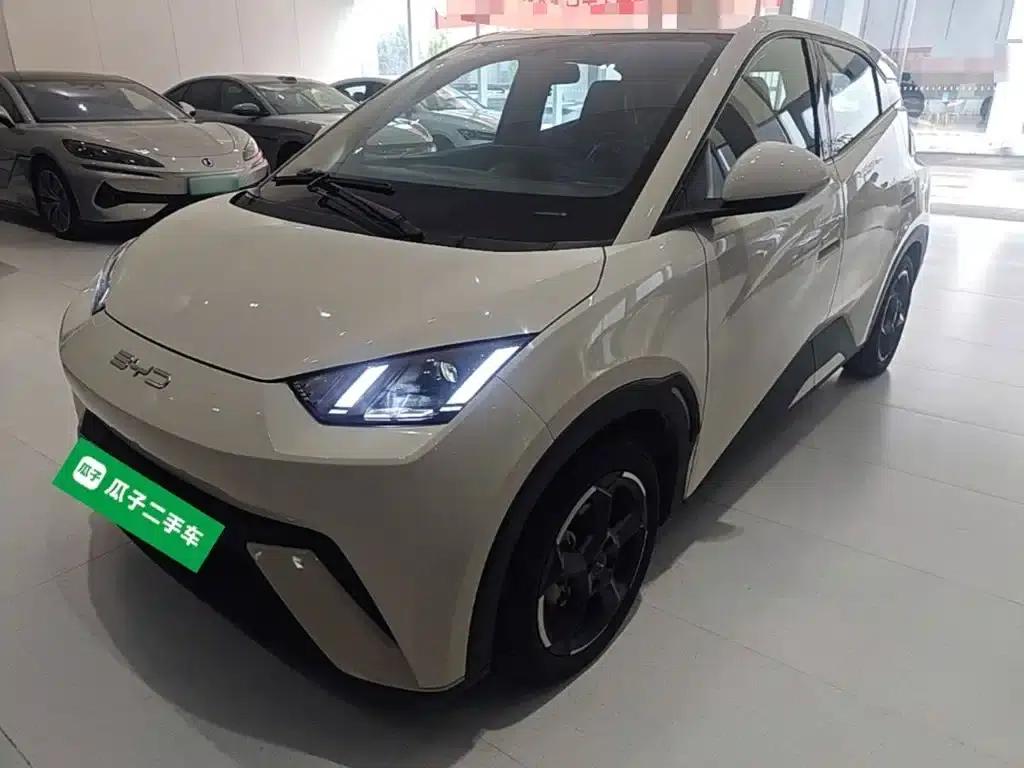 Seagull 2023 Freedom Edition — миниатюра 2