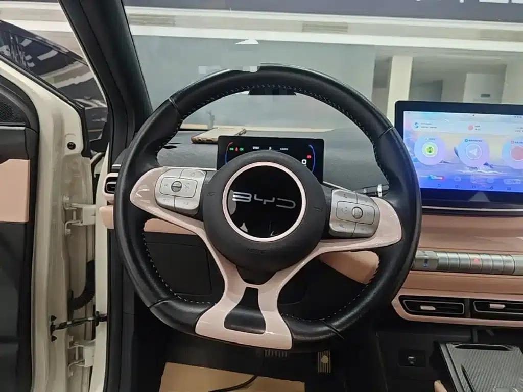 Seagull 2023 Freedom Edition — миниатюра 11