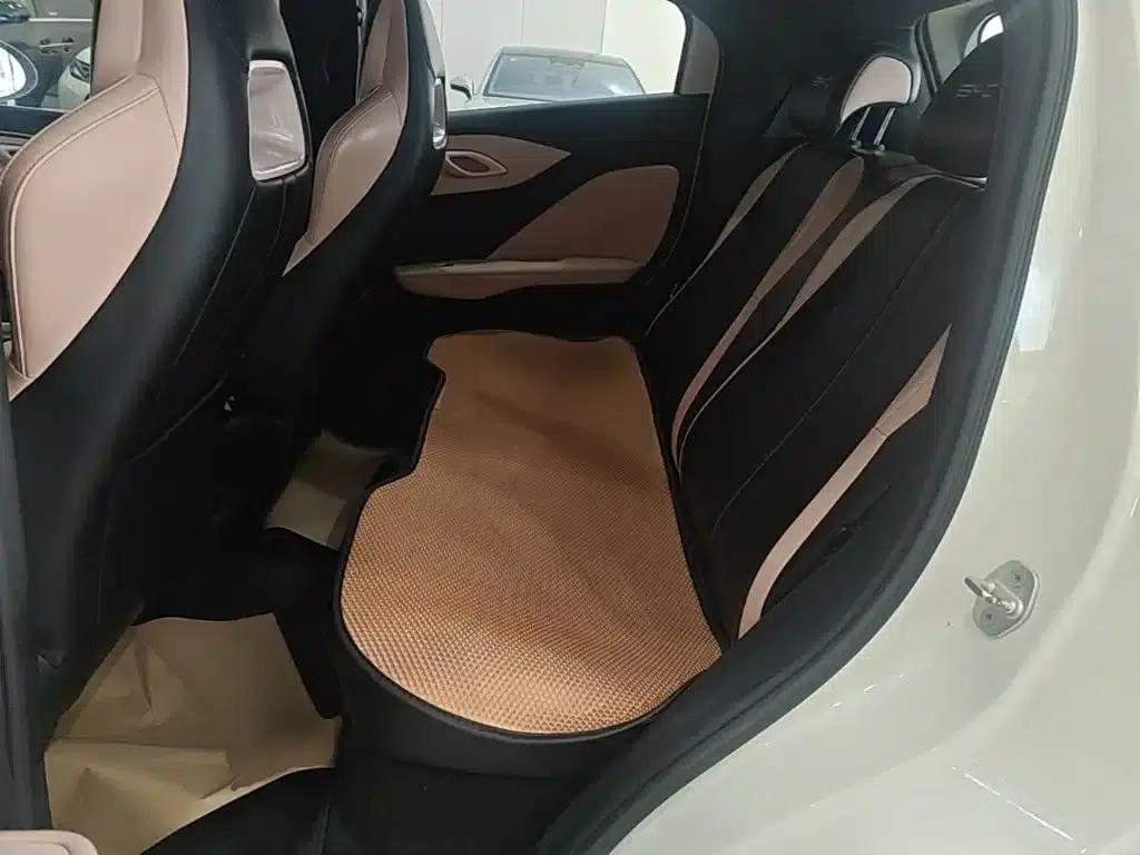 Seagull 2023 Freedom Edition — миниатюра 17