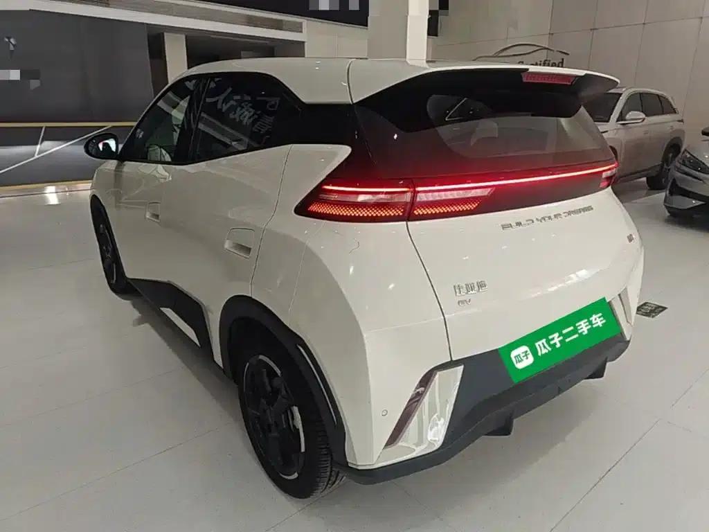 Seagull 2023 Freedom Edition — миниатюра 5