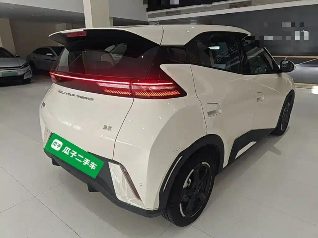 Seagull 2023 Freedom Edition — миниатюра 7