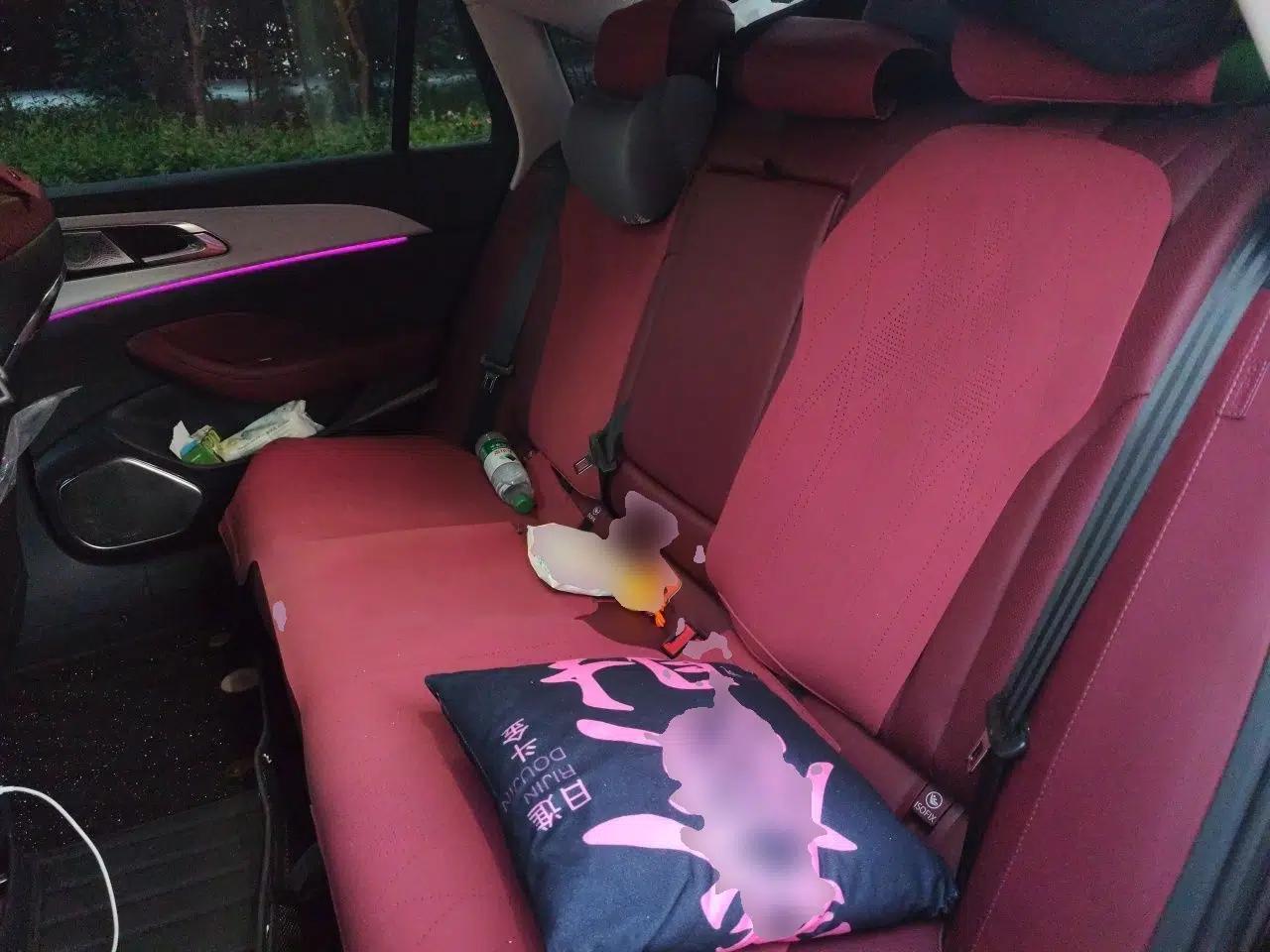 Hongqi H5 2025 2.0T Automatic Flag Edition – 500 000 Units Commemorative Version — миниатюра 17