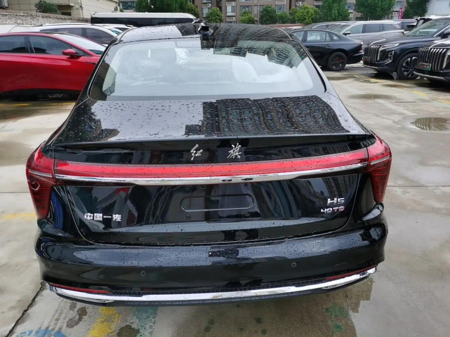 Hongqi H5 2025 2.0T Automatic Flag Edition – 500 000 Units Commemorative Version — миниатюра 5