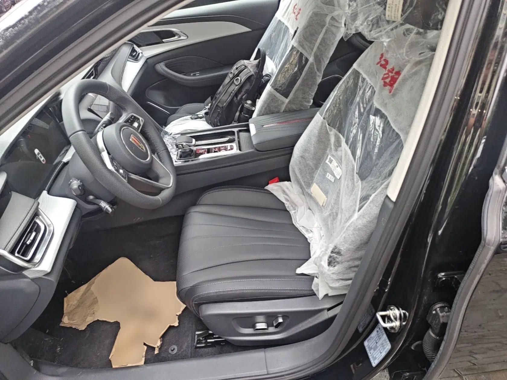 Hongqi H5 2025 2.0T Automatic Flag Edition – 500 000 Units Commemorative Version — миниатюра 17