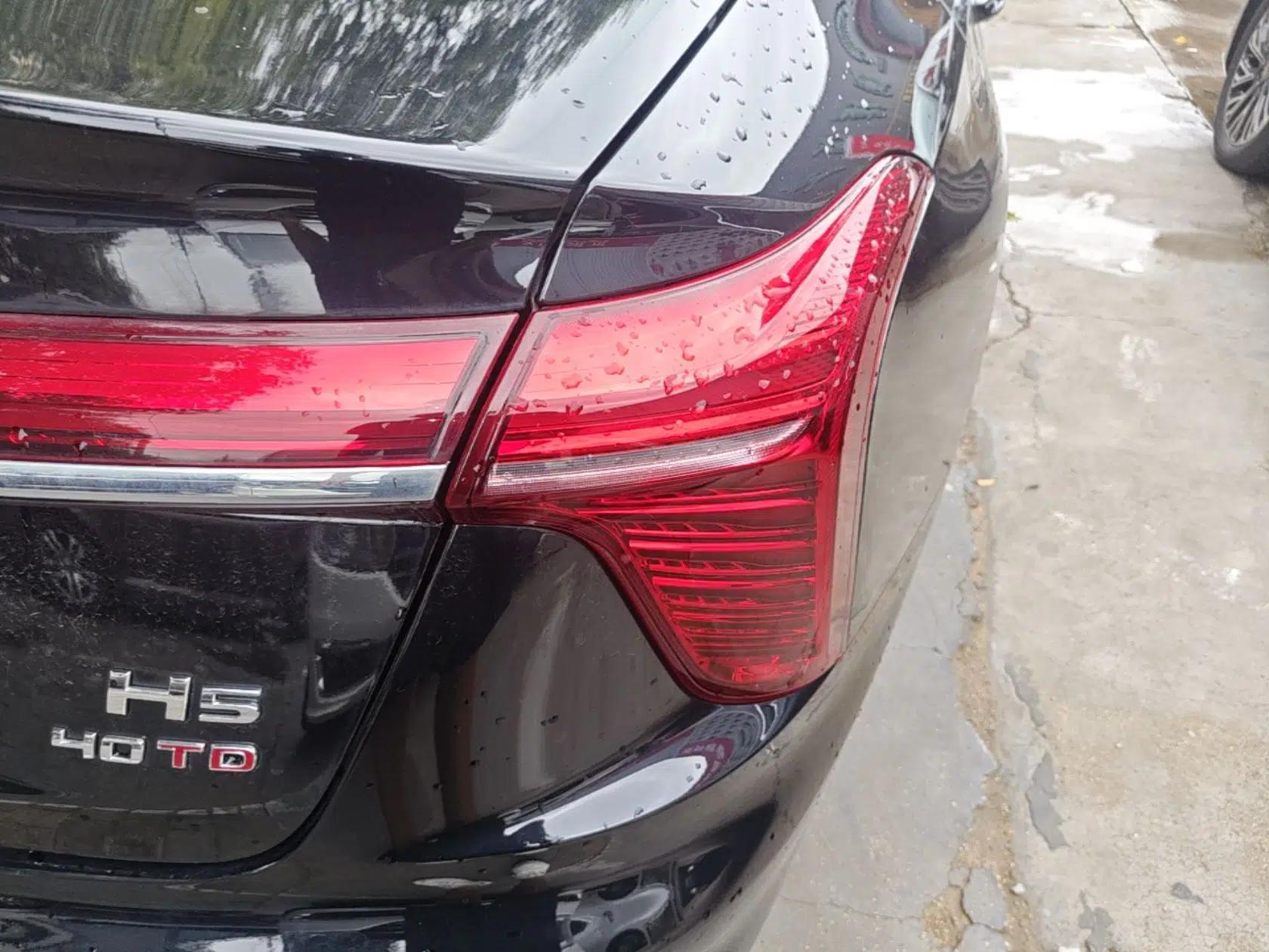 Hongqi H5 2025 2.0T Automatic Flag Edition – 500 000 Units Commemorative Version — миниатюра 9