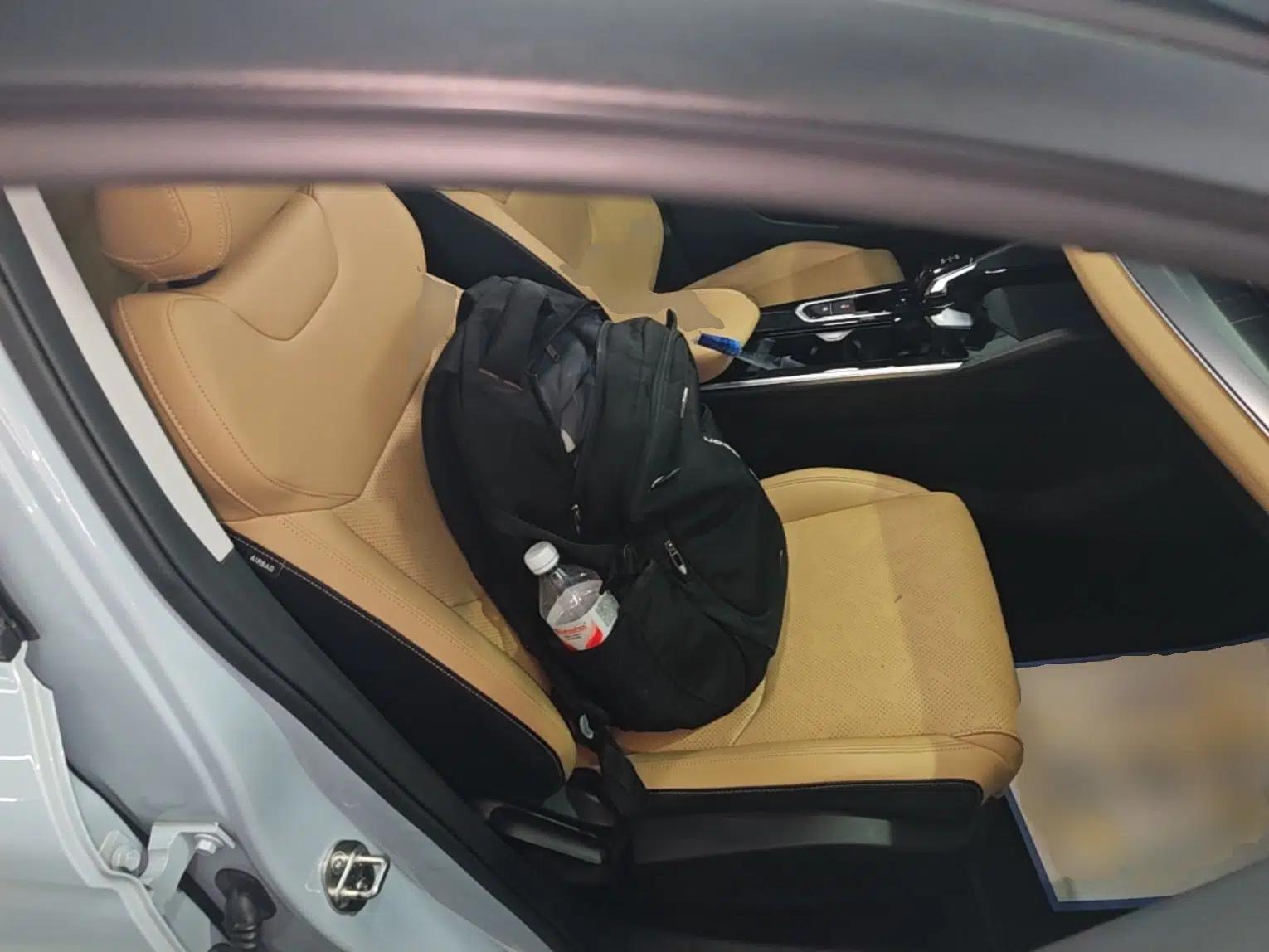Geely Auto Emgrand L HiP 2024 Champion Edition 1.5TD-DHT Pro 100KM Excellence Model — миниатюра 19