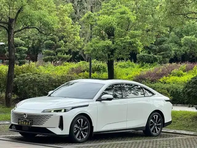 Yida 2023 Blue Whale NE 1.5T GDI DCT Navigator Edition