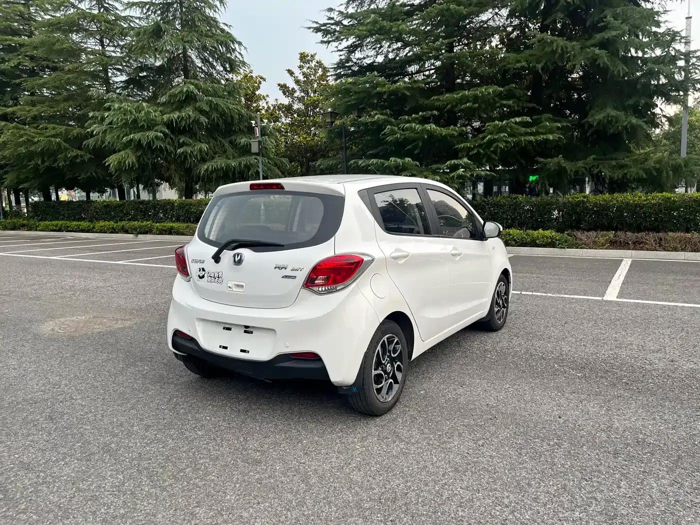 Benben 2015 1.4L IMT Premium Edition (National V Emission Standard) — миниатюра 4