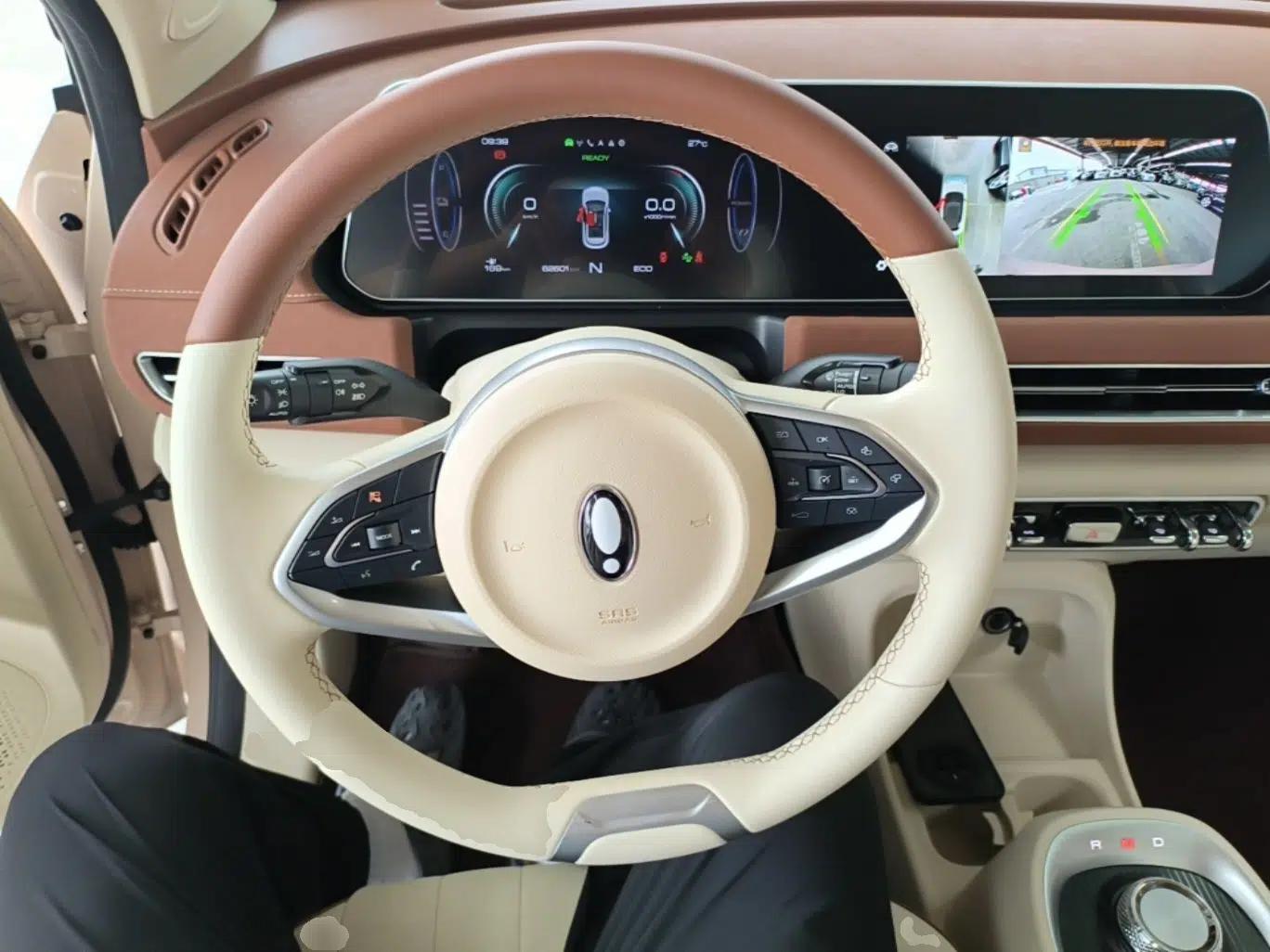 ORA Good Cat 2021 400km Standard Range Venus Edition Lithium Iron Phosphate — миниатюра 13