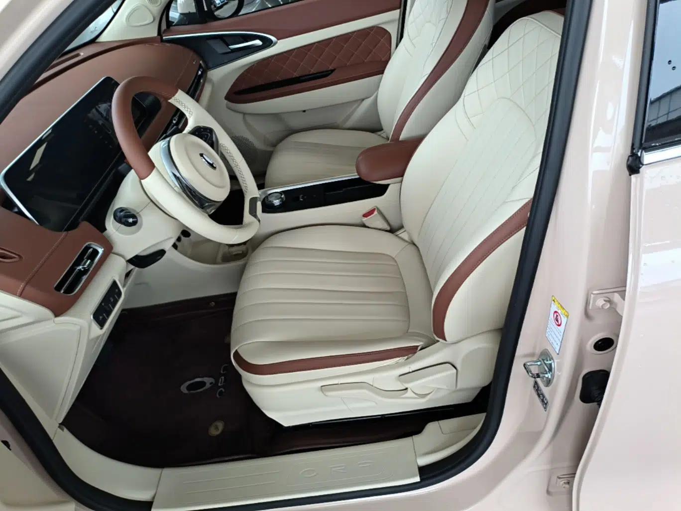 ORA Good Cat 2021 400km Standard Range Venus Edition Lithium Iron Phosphate — миниатюра 17