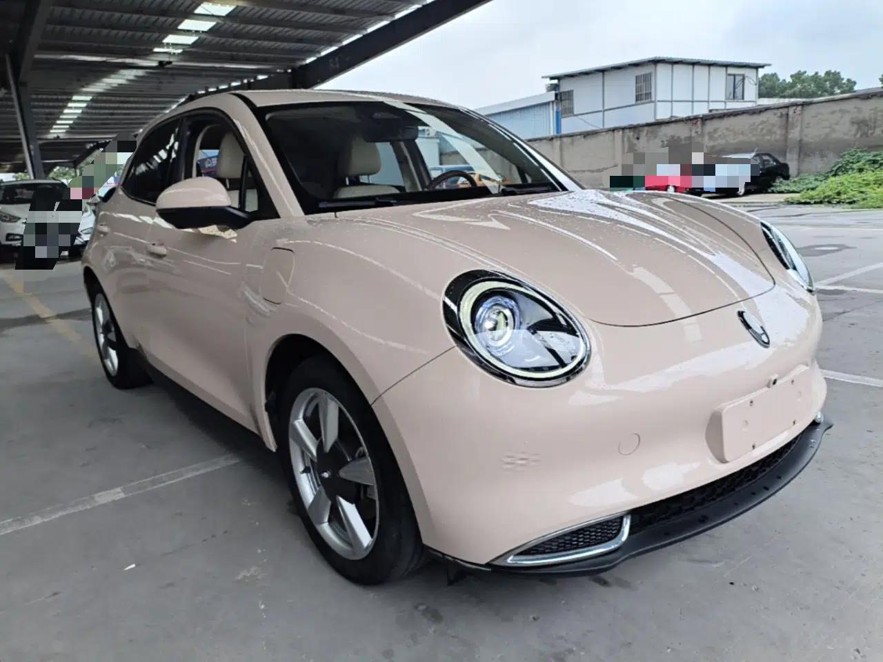 ORA Good Cat 2021 400km Standard Range Venus Edition Lithium Iron Phosphate — миниатюра 3