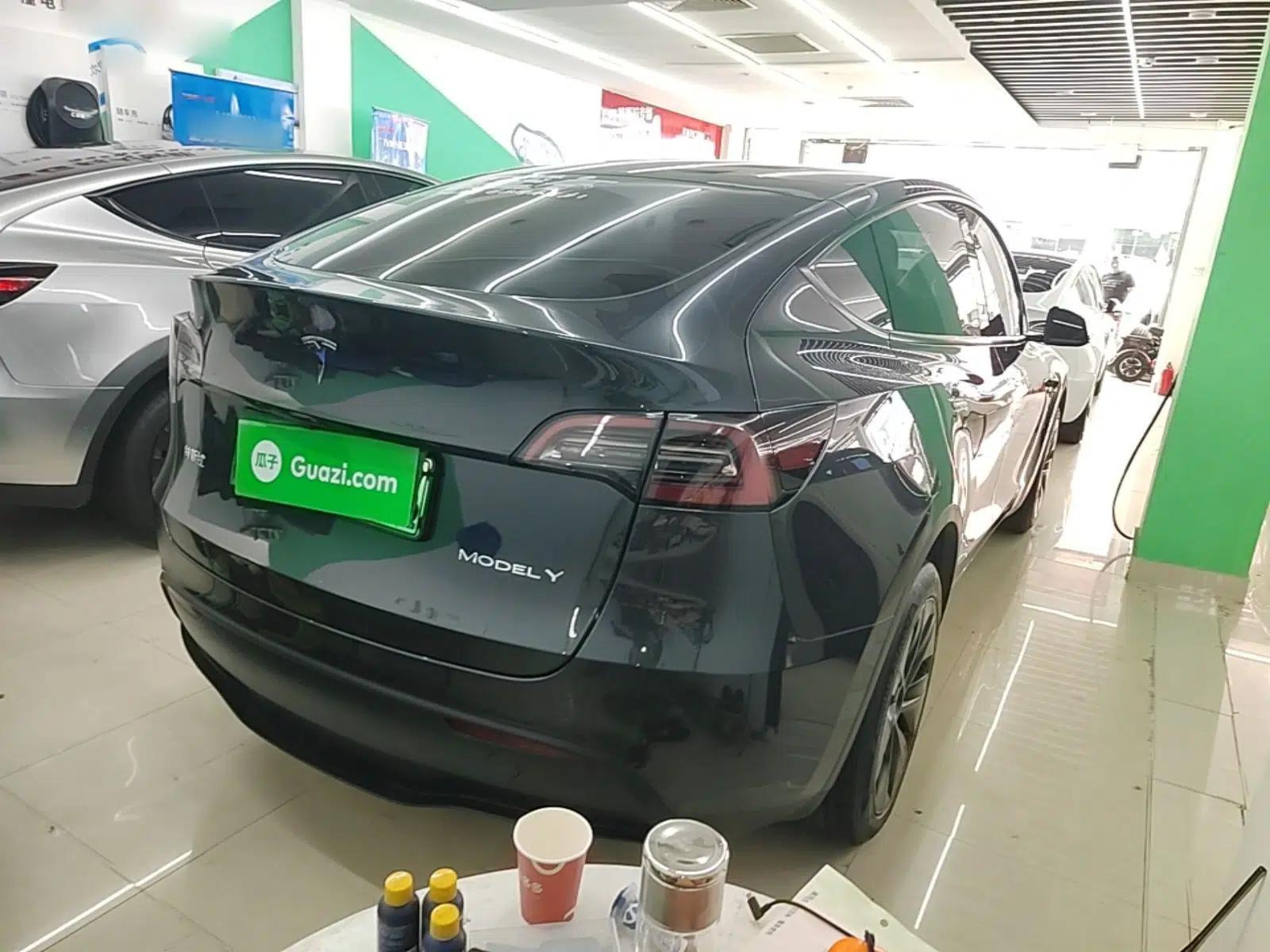 Tesla Model Y 2024 Long-Range All-Wheel-Drive Version — миниатюра 6
