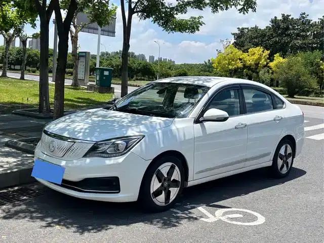 Dongfeng Fengshen E70 2020 500 Super Enjoy Edition