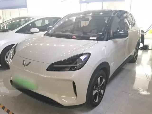 Wuling Bingo PLUS 2024 330 km Range Five-Seater Version