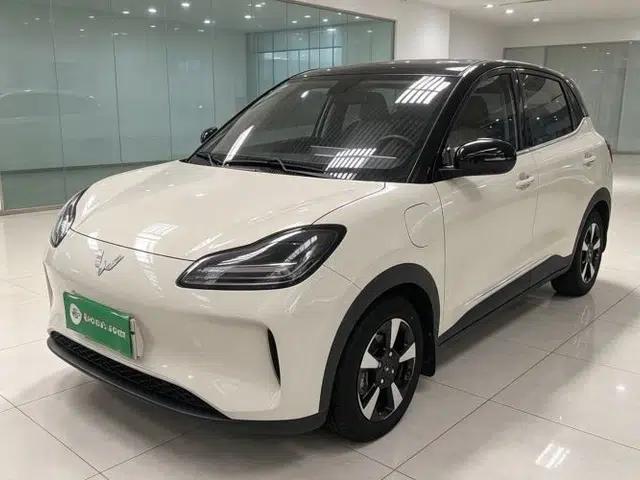 Wuling Bingo PLUS 2024 330 km Range Five-Seater Version