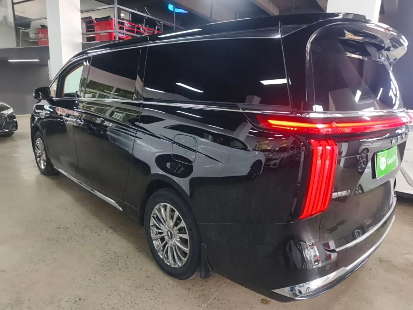 Wey Gaoshan 2023 Four-Wheel-Drive Executive Extended Version — миниатюра 4