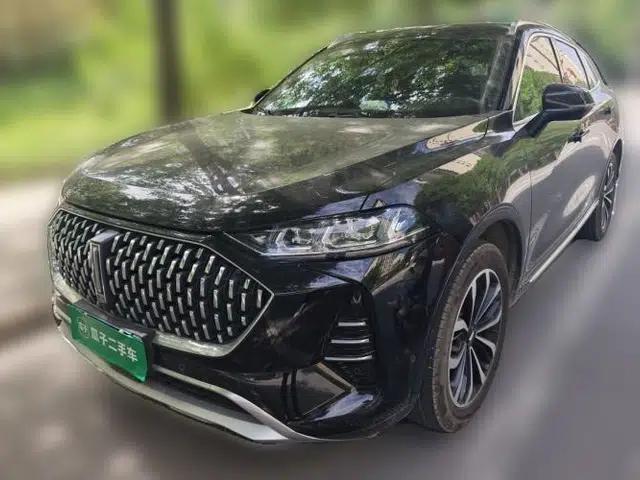 Wey Mocha 2021 2.0T Two-Wheel-Drive Premium Edition