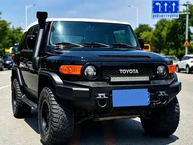 2010 FJ Cruiser 4.0L