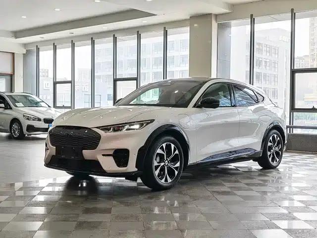 Ford e31 2021 Model X Unlimited Rear-Wheel Drive Luxury Edition Long Range