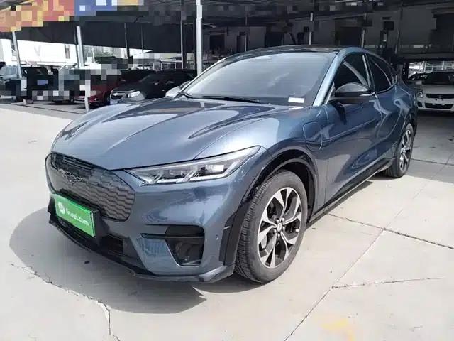 Ford e31 2021 Model X Unlimited Rear-Wheel Drive Luxury Edition Long Range