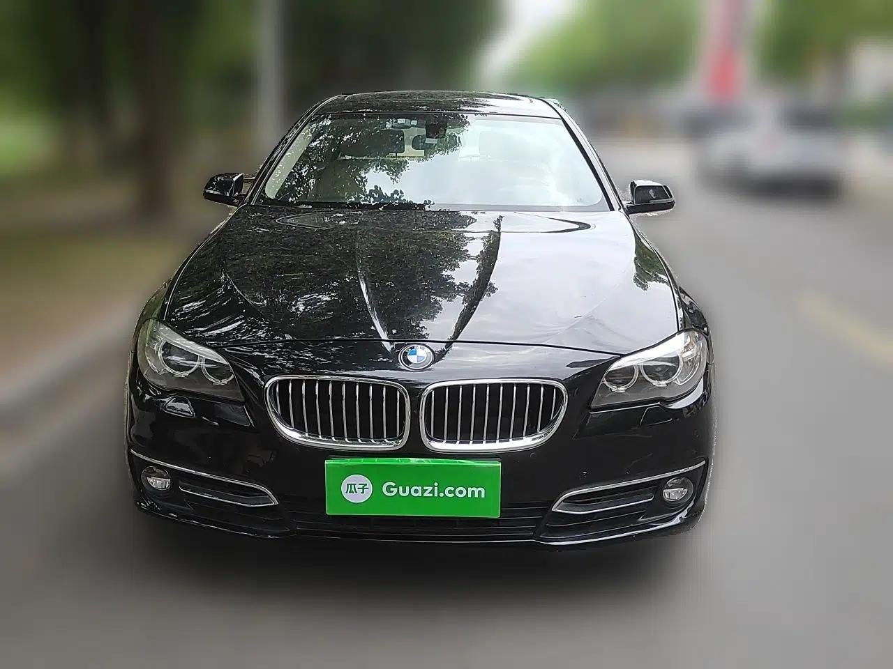 BMW 5 Series 2014 525Li Luxury Design Package — миниатюра 2