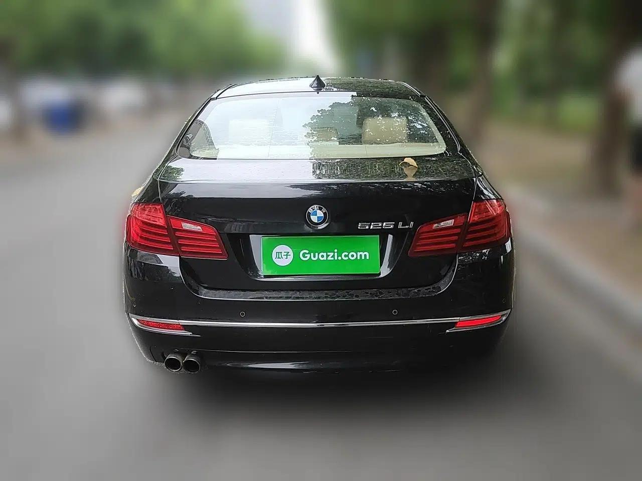 BMW 5 Series 2014 525Li Luxury Design Package — миниатюра 5