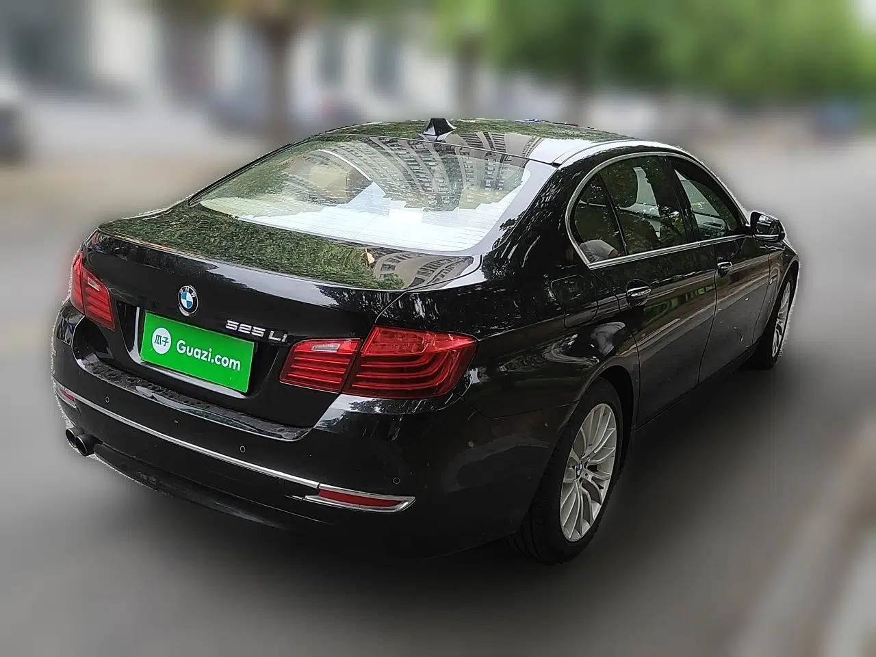 BMW 5 Series 2014 525Li Luxury Design Package — миниатюра 6