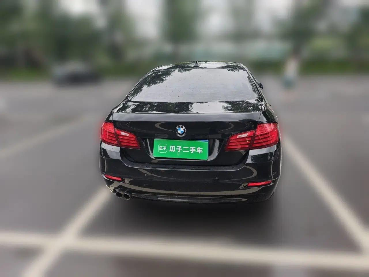 BMW 5 Series 2014 520Li Elegant Model — миниатюра 5
