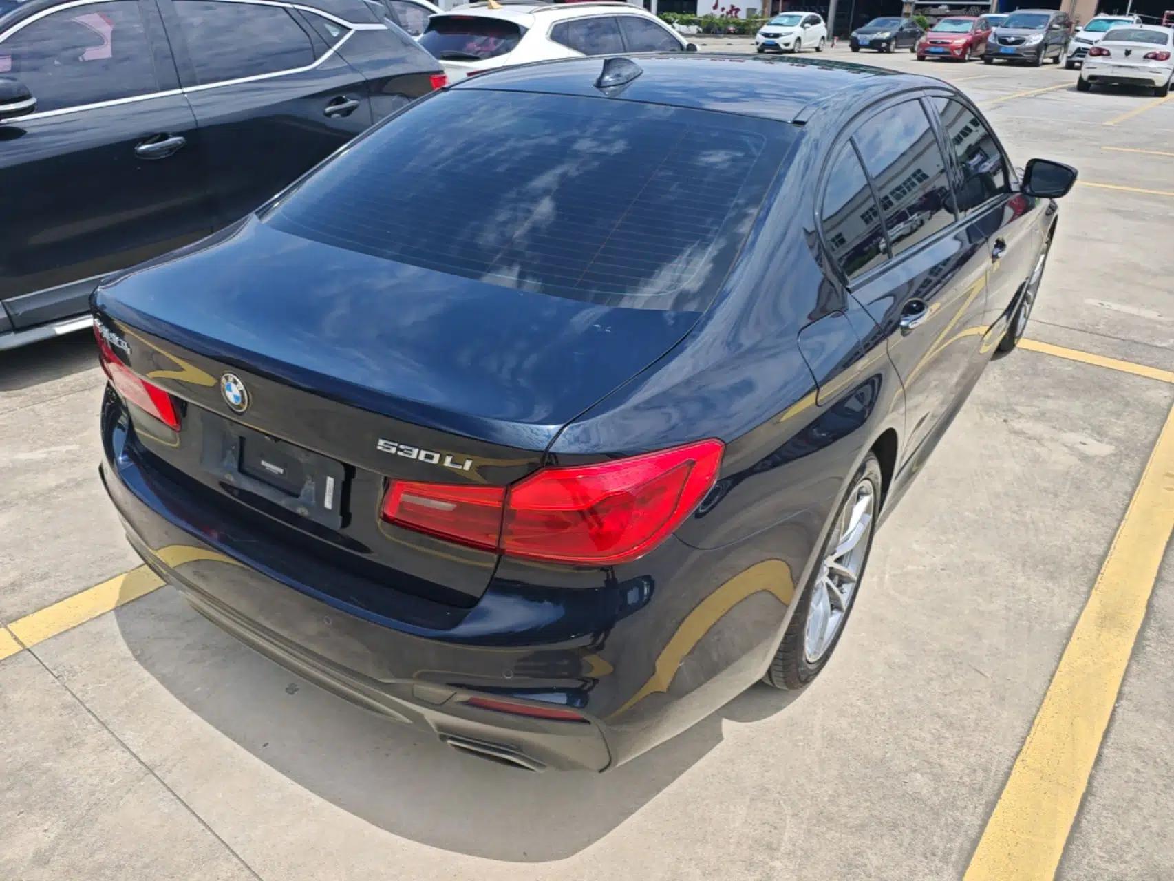 BMW 5 Series 2018 525Li M Sport Package — миниатюра 6
