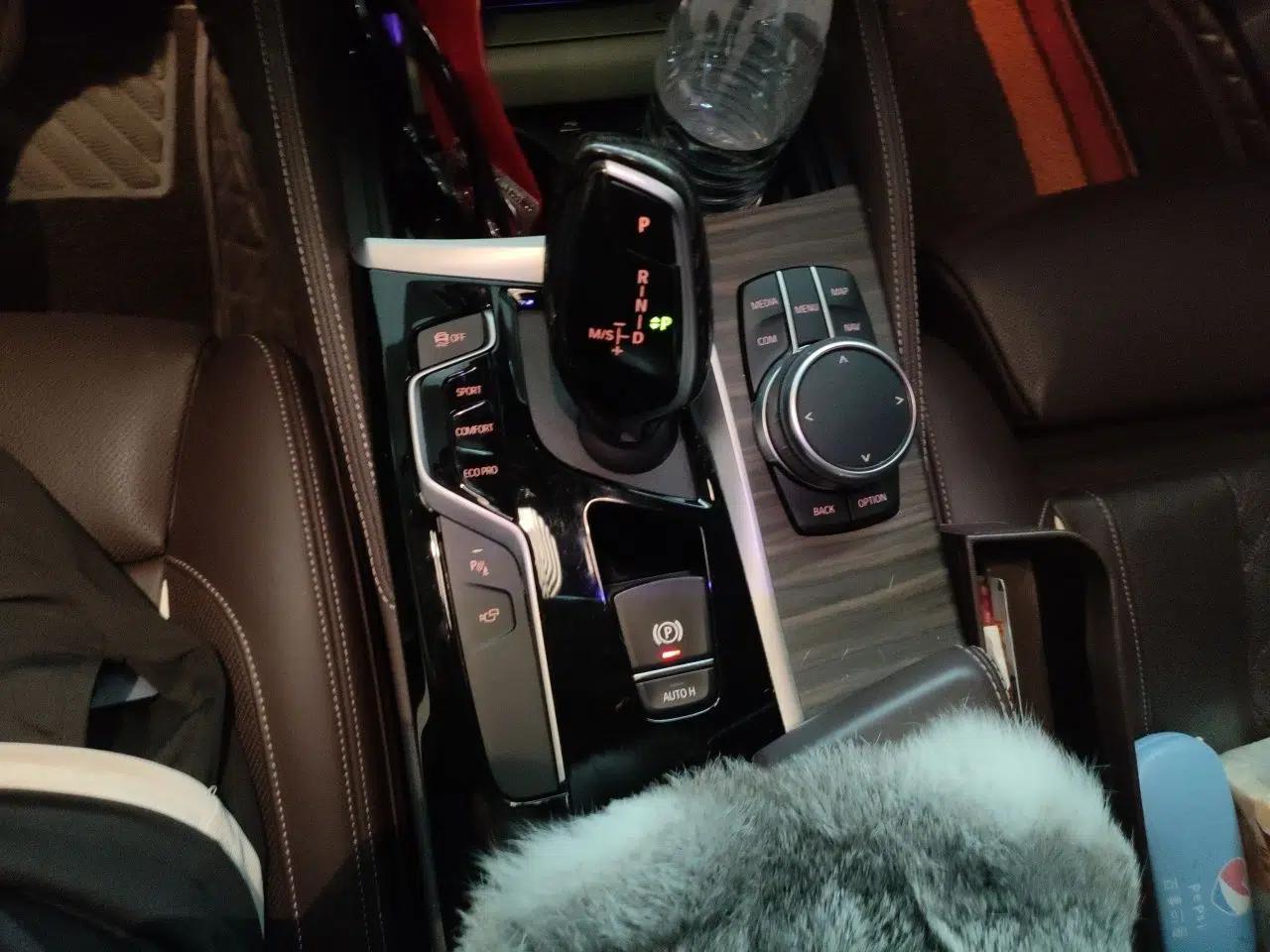 BMW 5 Series 2020 530Li Luxury Edition Premium Package — миниатюра 14