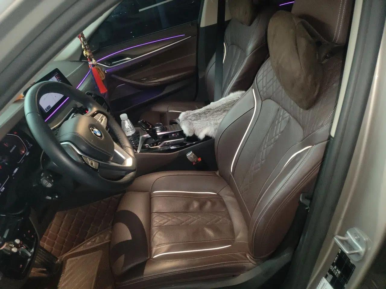 BMW 5 Series 2020 530Li Luxury Edition Premium Package — миниатюра 15