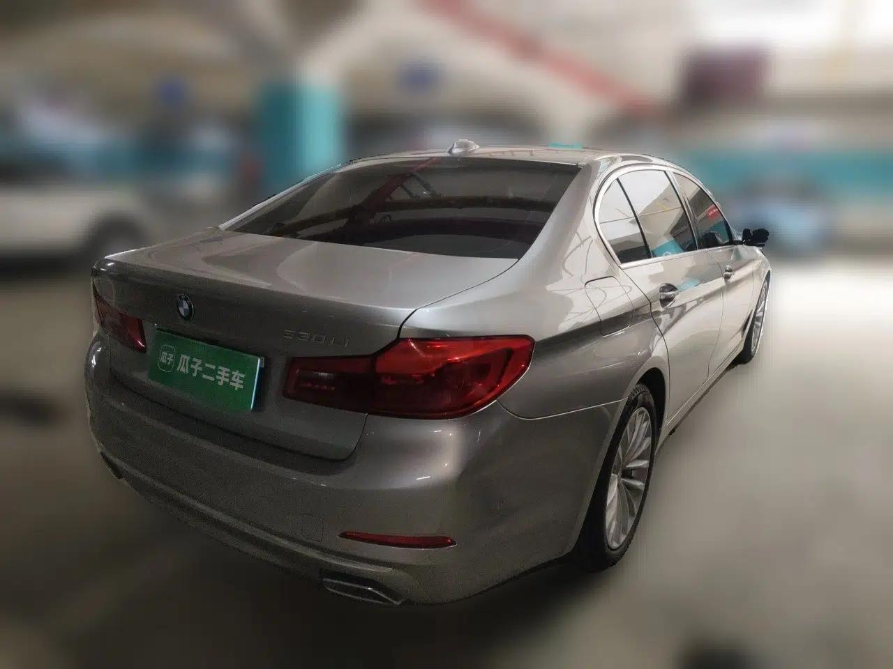 BMW 5 Series 2020 530Li Luxury Edition Premium Package — миниатюра 6