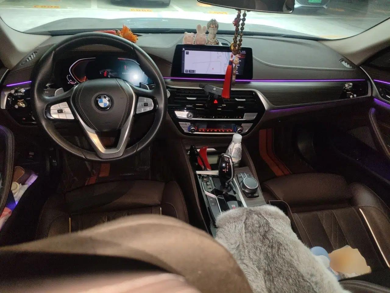 BMW 5 Series 2020 530Li Luxury Edition Premium Package — миниатюра 9