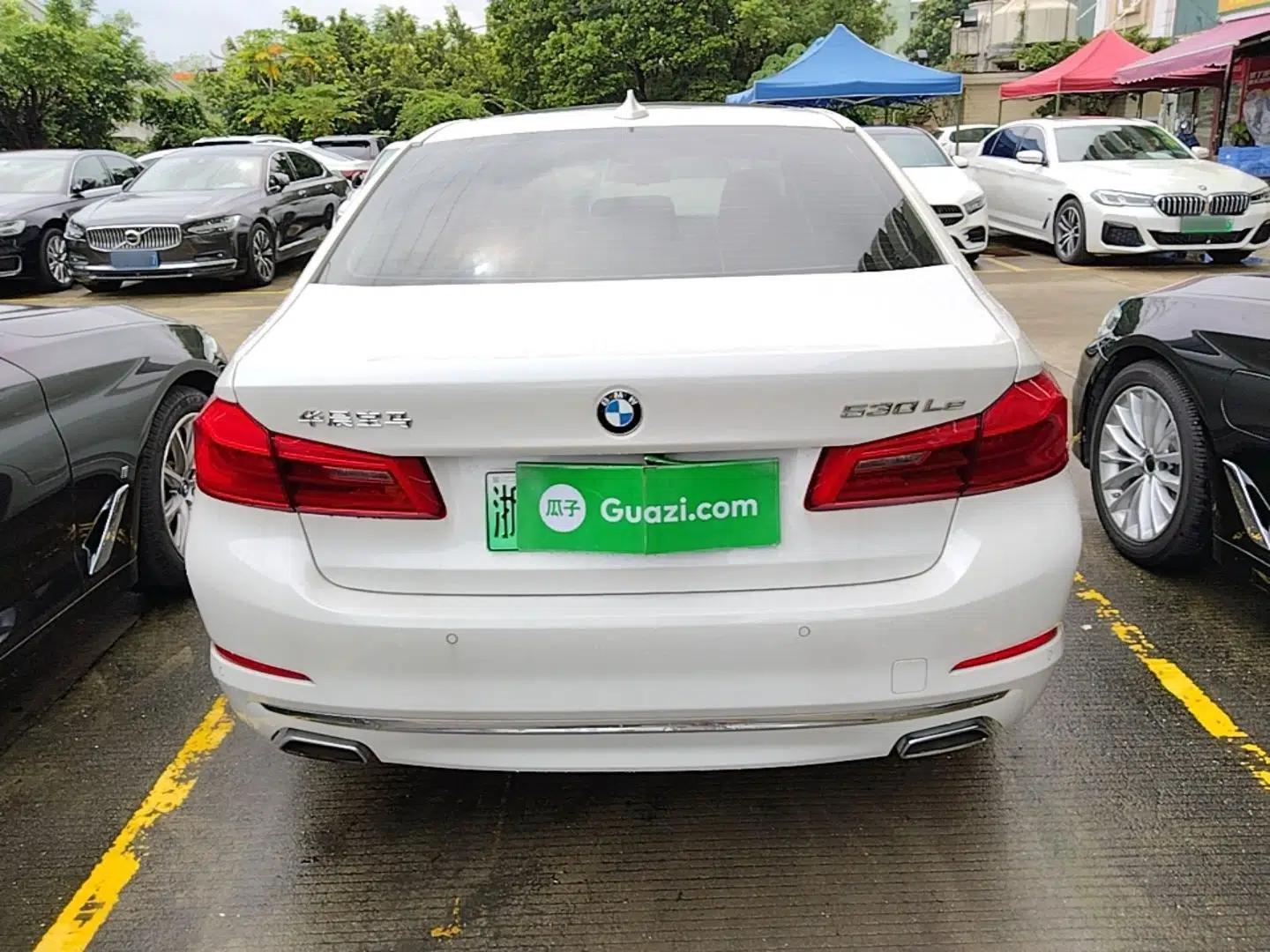 BMW 5 Series New Energy 2020 Mileage Upgrade Version 530Le Luxury Package — миниатюра 5