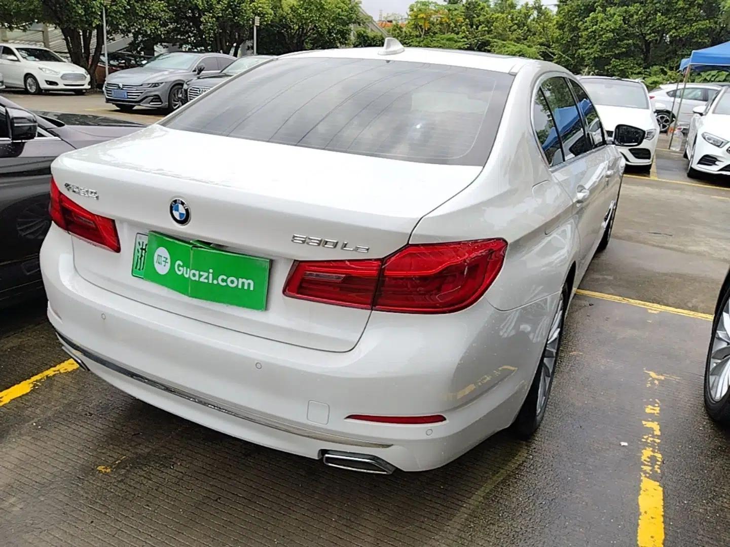 BMW 5 Series New Energy 2020 Mileage Upgrade Version 530Le Luxury Package — миниатюра 6