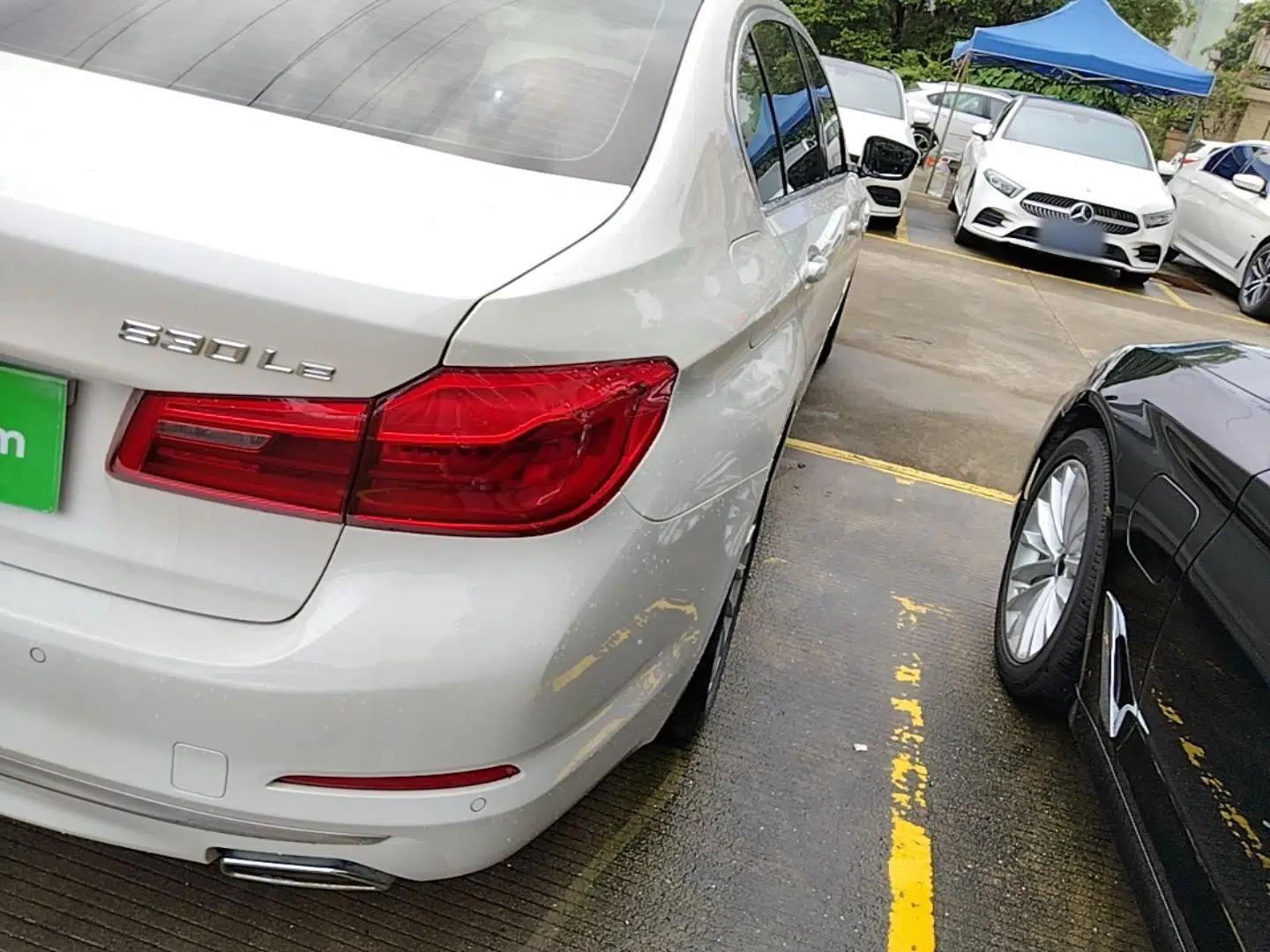 BMW 5 Series New Energy 2020 Mileage Upgrade Version 530Le Luxury Package — миниатюра 9