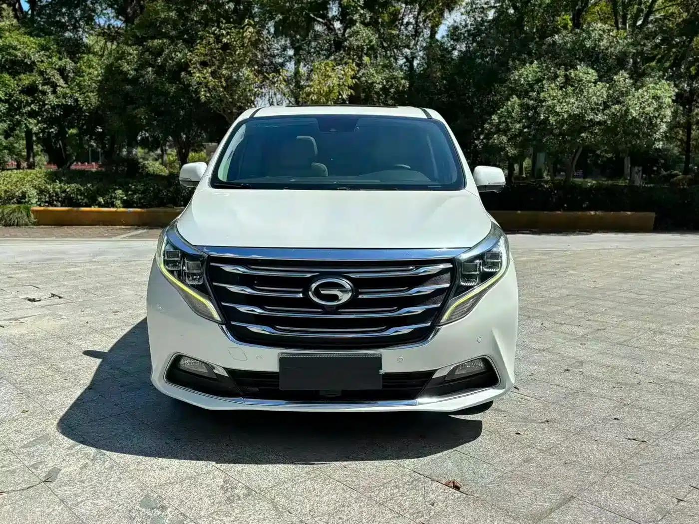 Trumpchi M8 2018 320T Flagship Edition — миниатюра 1
