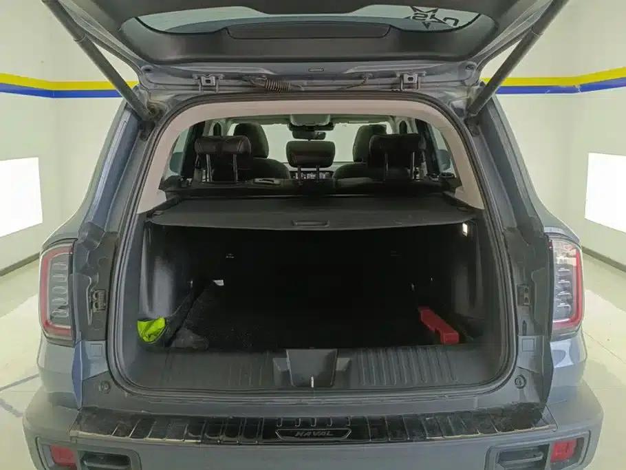 Haval Big Dog 2021 1.5T DCT 2WD Border Collie Edition — миниатюра 4