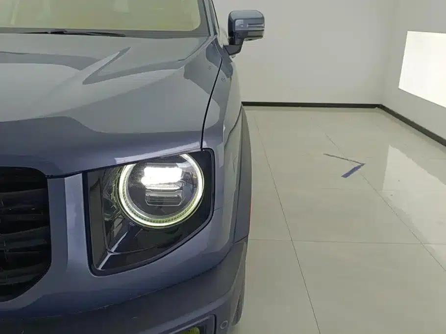 Haval Big Dog 2021 1.5T DCT 2WD Border Collie Edition — миниатюра 5