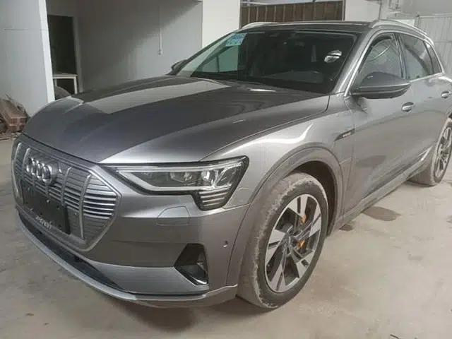 Audi e-tron 2019 55 quattro Technology Edition
