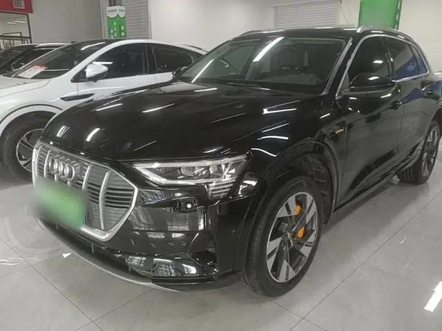 Audi e-tron 2019 55 quattro Technology Edition