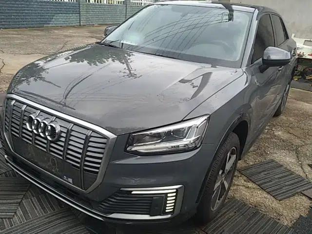 Audi Q2L e-tron 2019 Q2L e-tron Pure Electric Smart Enjoyment Model