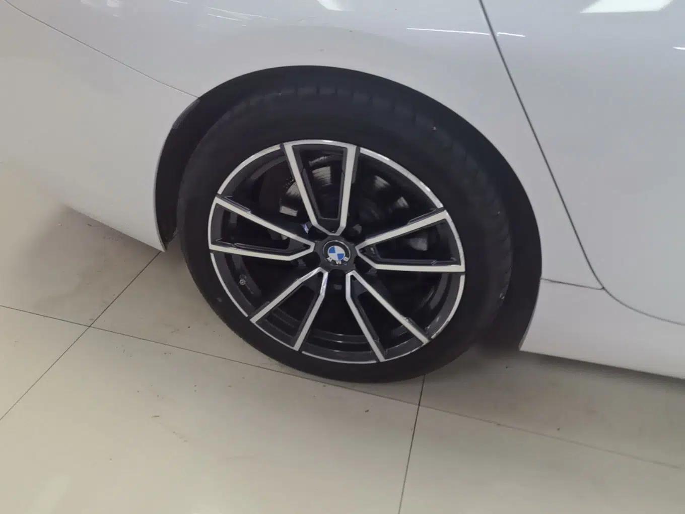 BMW 3 Series 2020 320Li M Sport Package — миниатюра 11