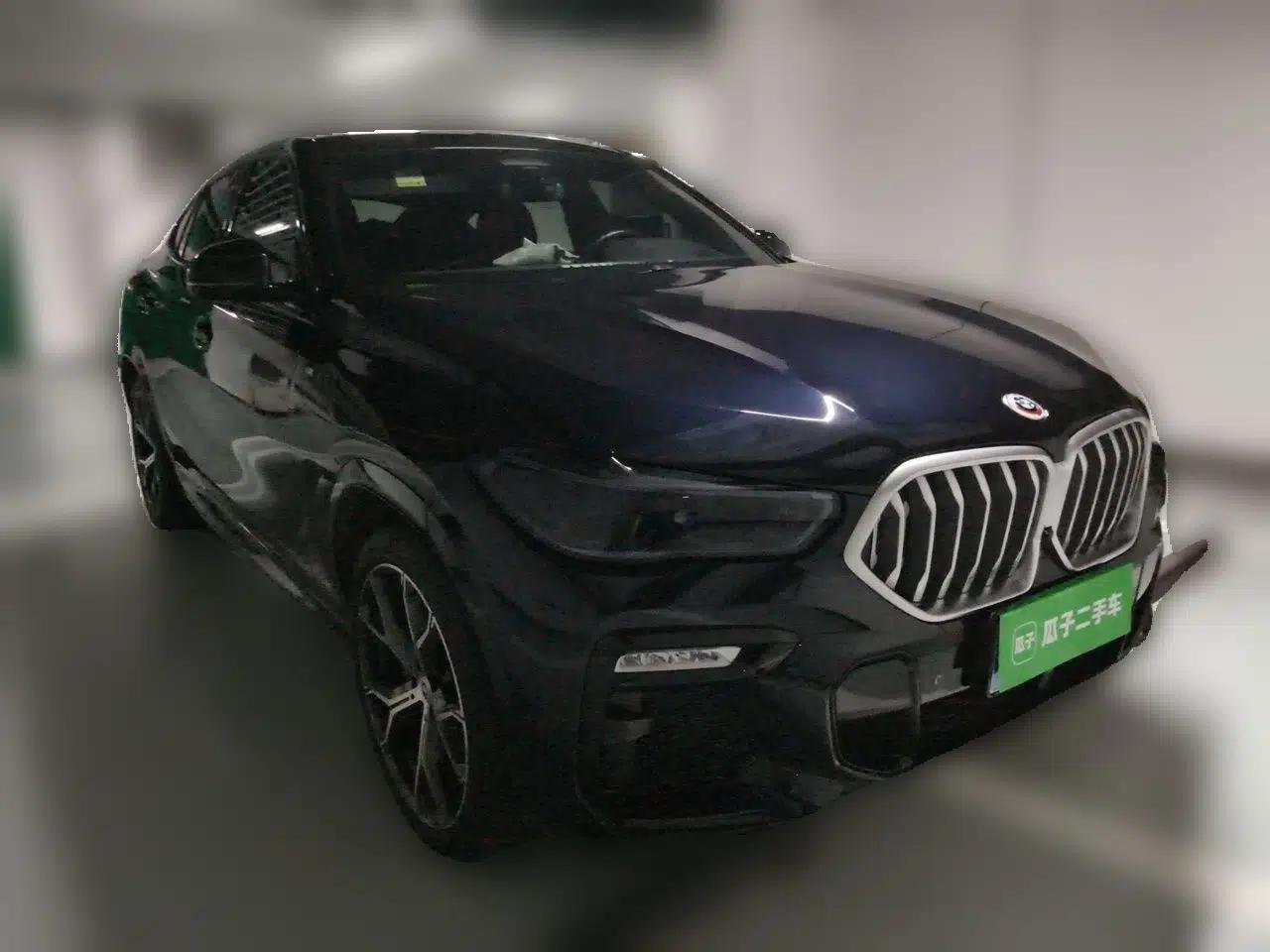 BMW X6 2021 xDrive40i Luxury Model with M Sport Package — миниатюра 3
