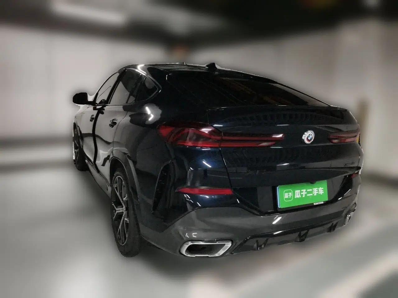 BMW X6 2021 xDrive40i Luxury Model with M Sport Package — миниатюра 4