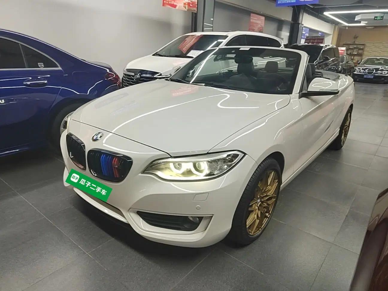 BMW 2 Series 2015 220i Convertible Coupe Leading Model — миниатюра 1