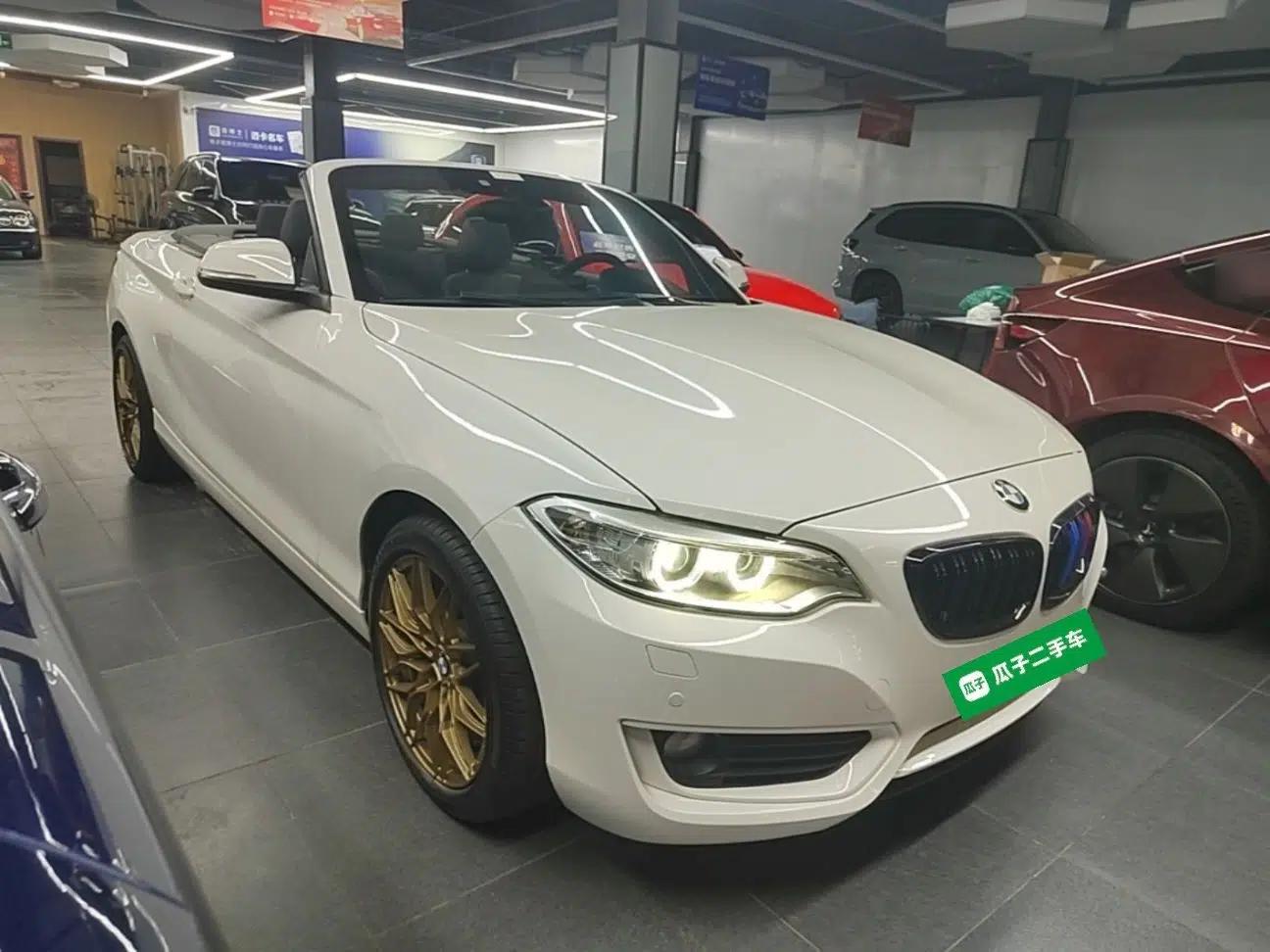 BMW 2 Series 2015 220i Convertible Coupe Leading Model — миниатюра 12
